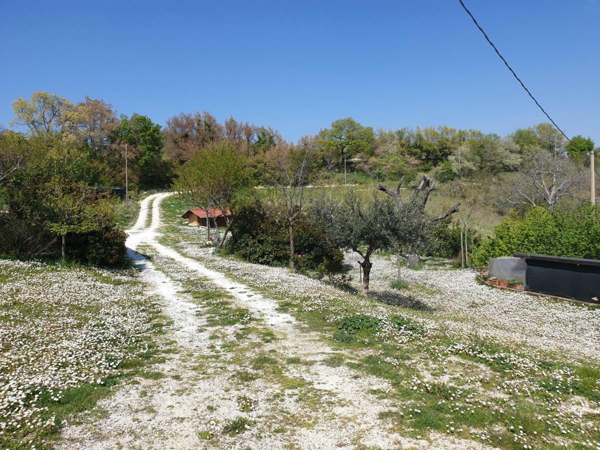 Bosimano Séjour à la ferme Arcevia